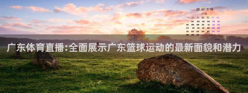 乐球体育免费直播高清：广东体育直播:全面展示广东篮球运动的最新面貌和潜力