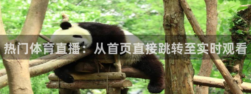 乐球直播官网在线观看：热门体育直播：从首页直接跳转至实时观看