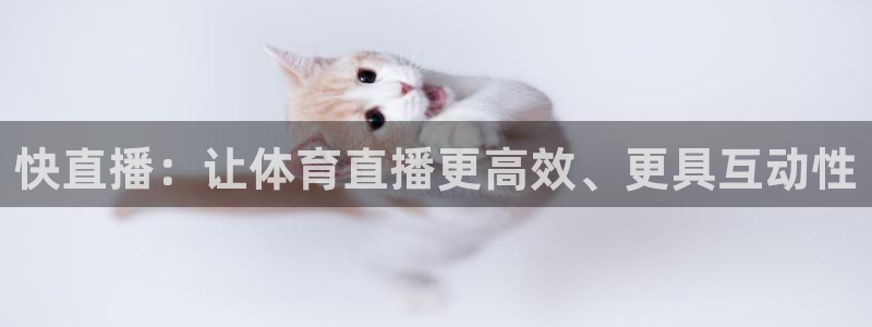 乐球直播无插件免费nba直播