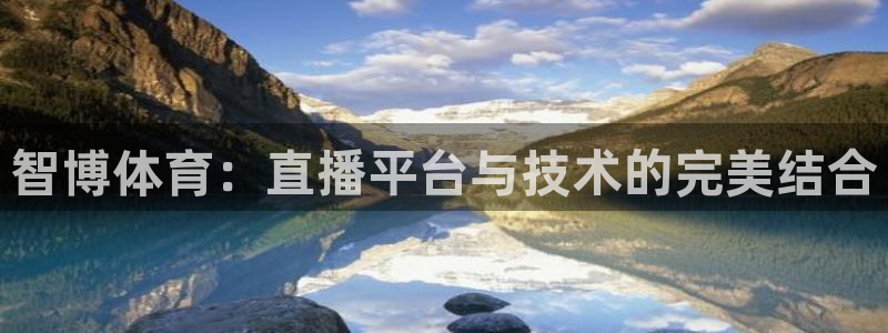 乐球直播即时直播：智博体育：直播平台与技术的完美结合