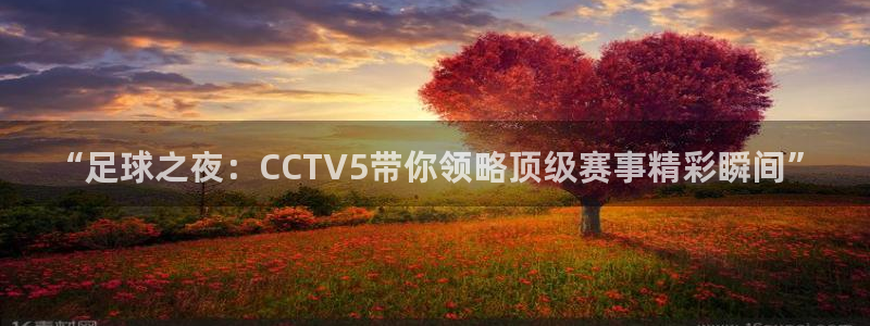山猫乐球足球直播：“足球之夜：CCTV5带你领略顶级赛事精彩瞬间”