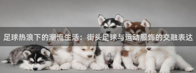 乐球高清直播免费观看：足球热浪下的潮流生活：街头足球与运动服饰的交融表达