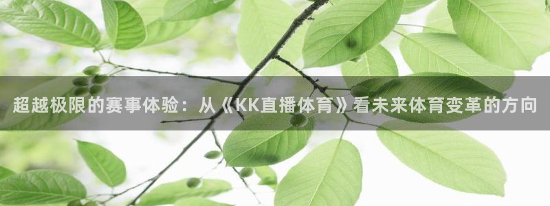 乐球吧在线直播观看篮球赛：超越极限的赛事体验：从《KK直播体育》看未来体育变革的方向